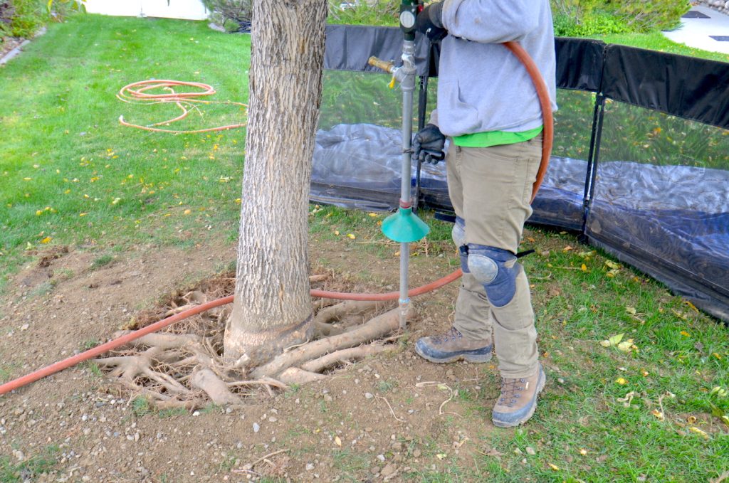 Air spade work to repair tree roots